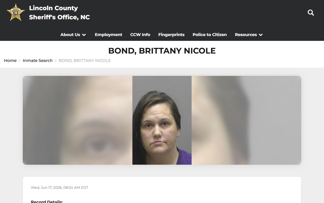 Lincoln County inmate search sample profile